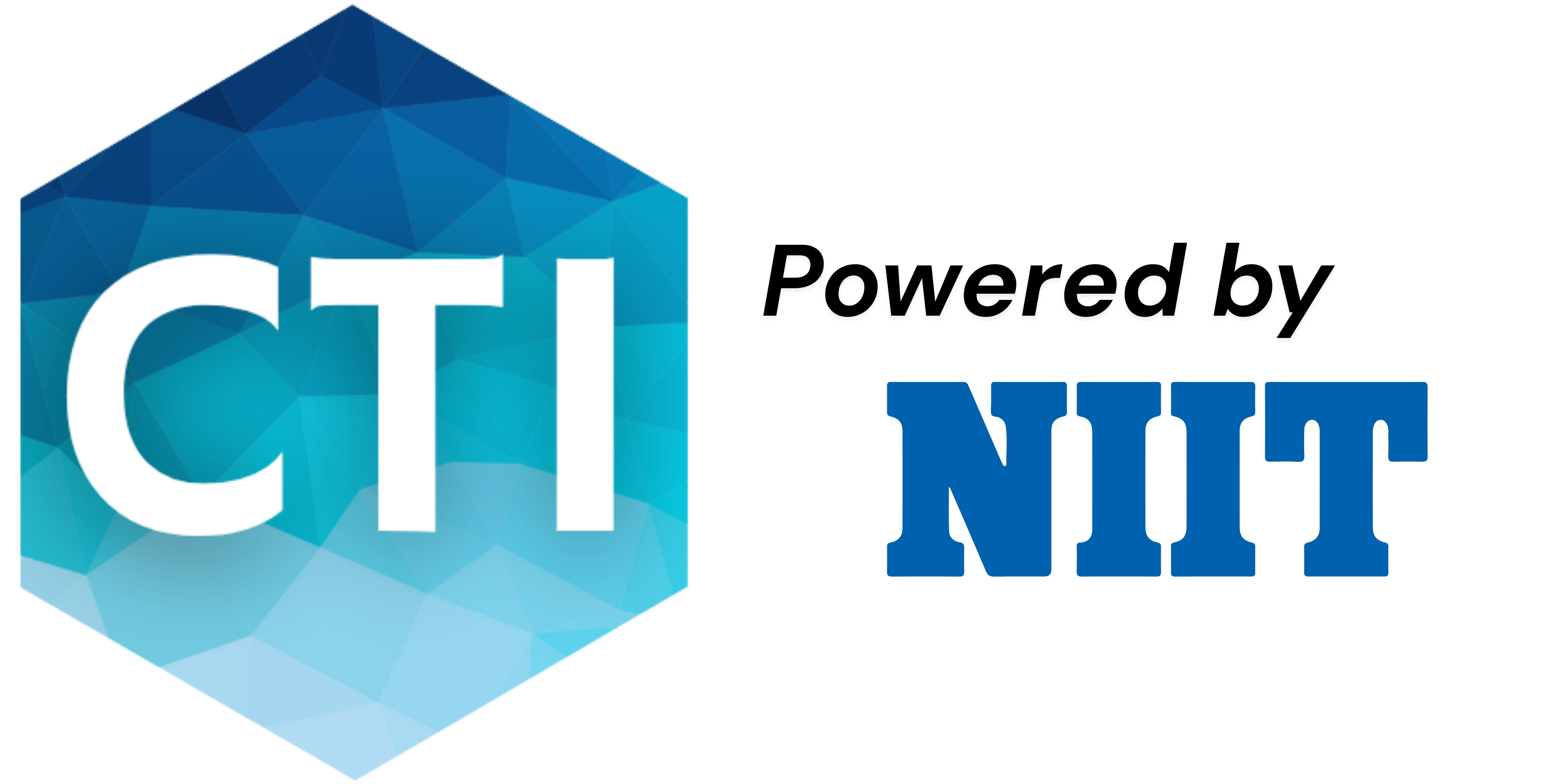 CTI x NIIT